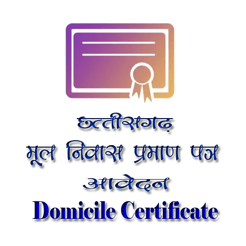 CG e District - Domicile Certificate