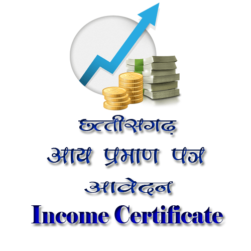 CG e District - Income Certificate
