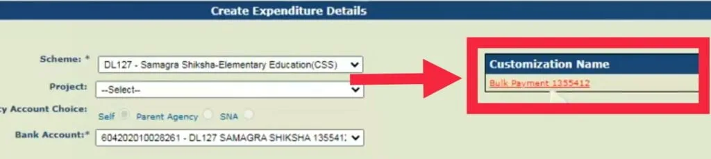 PFMS समस्या एवं समाधान[Pfms Related Problems And Their Solutions]